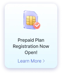 Get a Prepaid Number